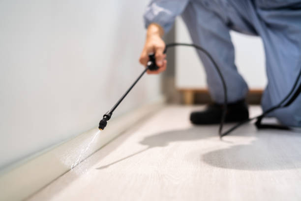Licensed Termite Control service in Rahway, NJ - Show Me Pest Control